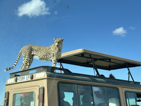 Africa Prince Adventures cover image