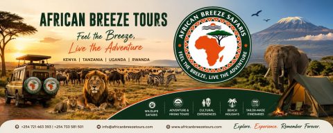 African Breeze Safaris cover image