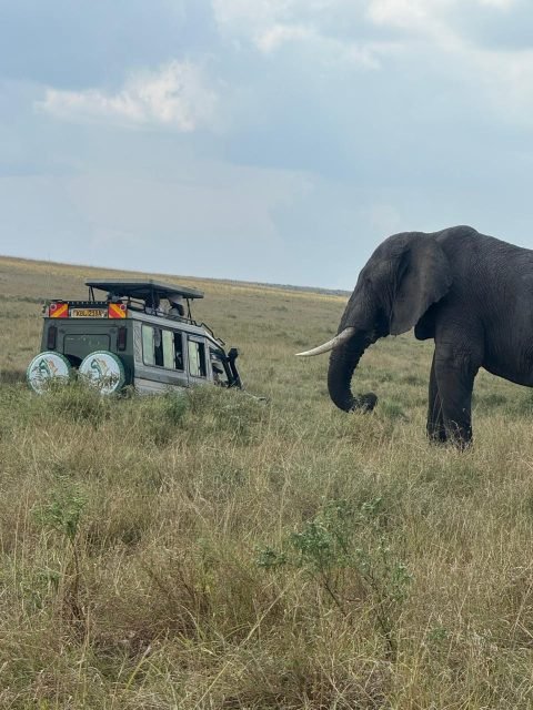 Blends of Africa Adventures