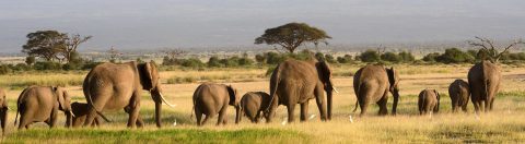 Envoyage Tanzania cover image