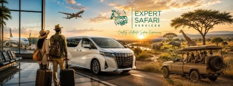 Expert Safari Services LTD cover image