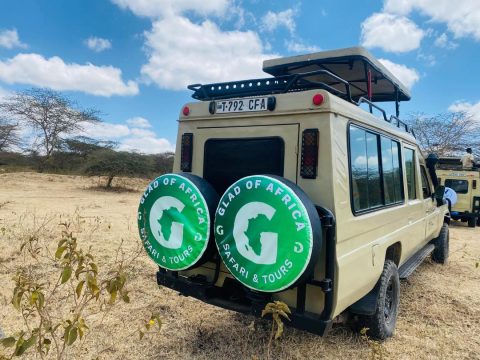 Glad of Africa Safaris & Tours cover image