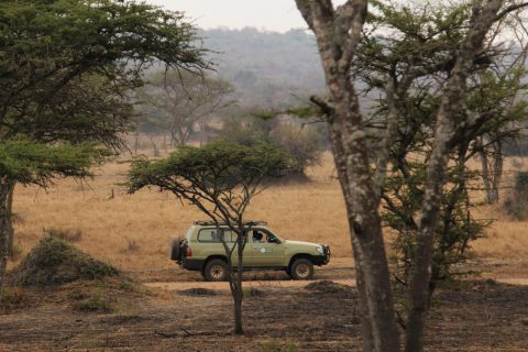 Kaju Community and Nature Tours Uganda Limited