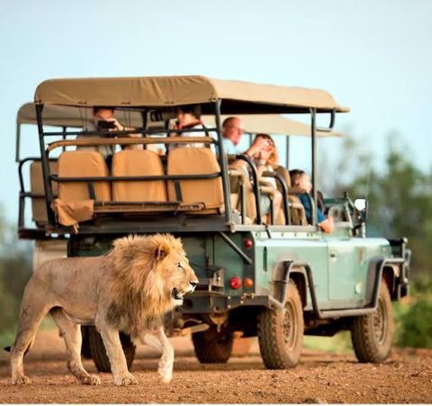 Kenya Classic Tour Travel