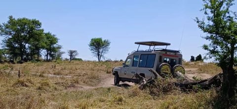 Kilimanjaro Classic Safaris