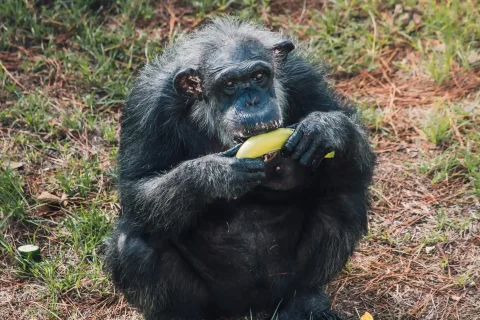 Kitagata Safaris Uganda