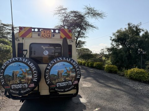 Nunus Kenyan Safaris cover image