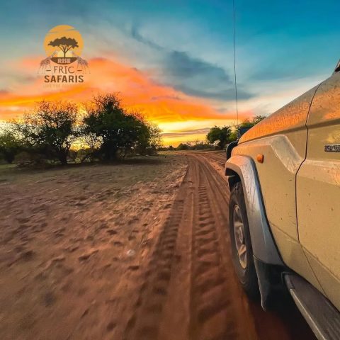 Rise Africa Safaris
