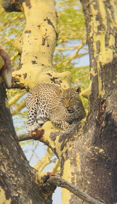 RouteWay Expeditions cover image