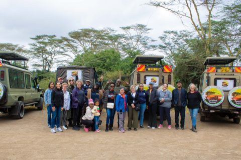Samsons Safaris cover image