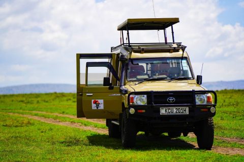 Shanjoy Tours And Safaris LTD