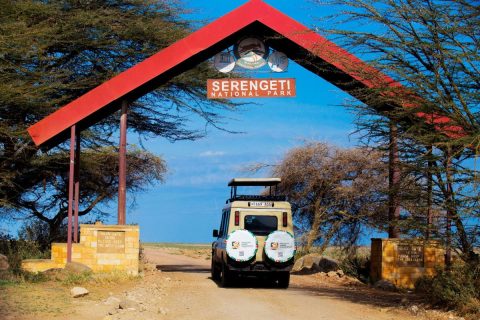 Tanzania Safari Experience cover image