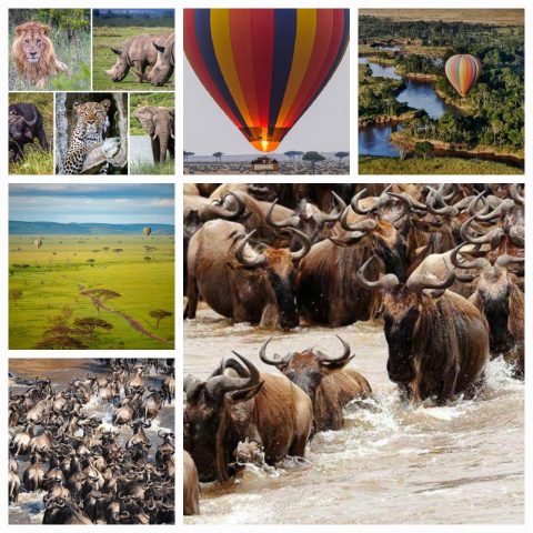 Tanzania Special One Trekking & Safaris cover image