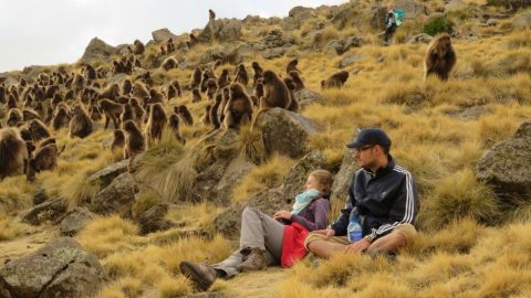 Twsta Tours and Expeditions