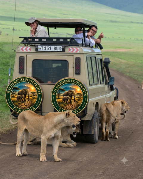 Wilderness Footprints Safari cover image