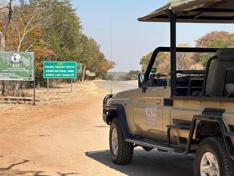 Xaa Safaris