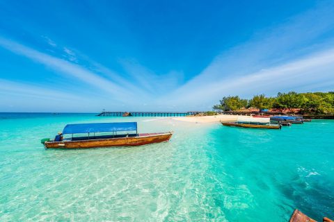 ZanziPride Tours and Safari cover image