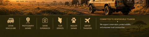 ZS Safaris cover image