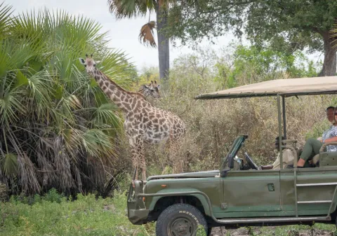2-Day Amazing Luxury Safari Inside Nyerere NP (Selous) gallery image