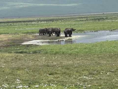 2-Day - Tarangire National Park and Ngorongoro gallery image