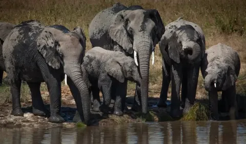 2-Day Game Drive Safari in Tarangire and Ngorongoro gallery image