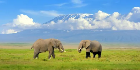 2-Day Amboseli National Park Safari gallery image