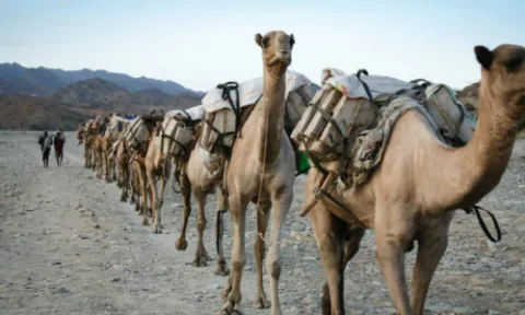 3-Day Danakil Explorer: Volcanoes & Salt Flats gallery image
