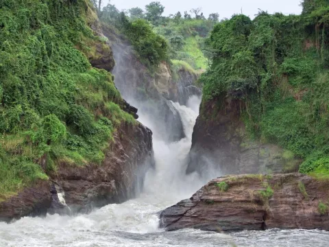 3-Day Murchision Falls NP and Rhino Sanctuary gallery image