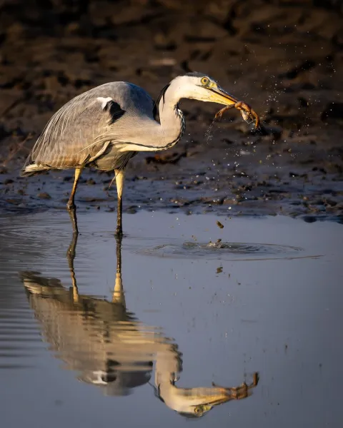 3-Day Safari from Dar Es Salaam gallery image