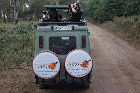 3-Day Serengeti Fly in Safari gallery image