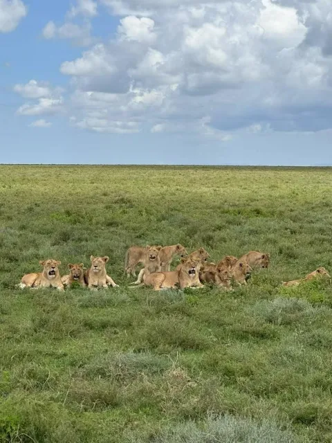 3-Day Group Tour to Serengeti Ngorongoro gallery image