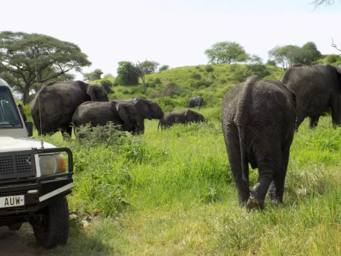 3-Day Beautiful Days Safari gallery image