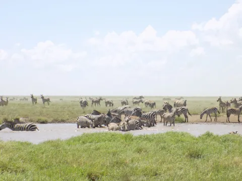 3-Day Beautiful Days Safari gallery image