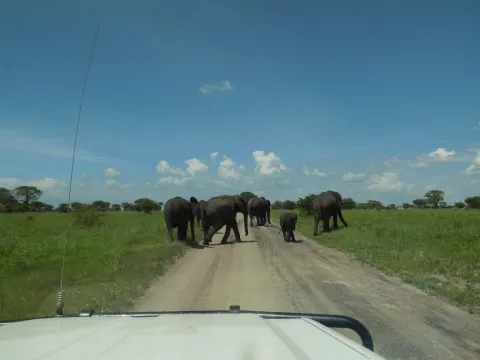 3-Day Beautiful Days Safari gallery image
