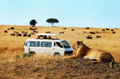 3-Day Explore Safari to Samburu National Reserve gallery image