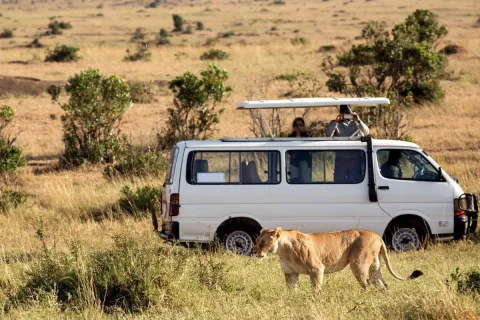 3-Day Explore Safari to Samburu National Reserve gallery image