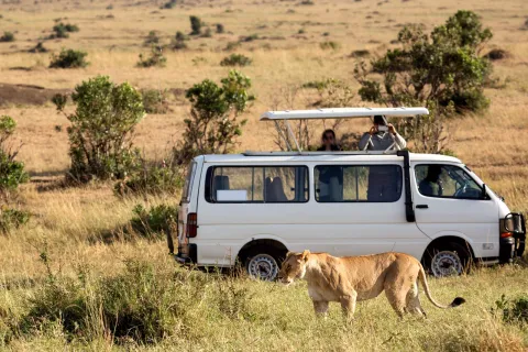 3-Day Explore Safari to Samburu National Reserve gallery image
