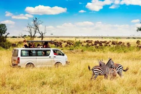 3-Day Safari to Masai Mara National Reserve gallery image