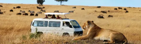 3-Day Safari to Masai Mara National Reserve gallery image