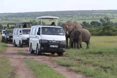 3-Day Safari to Masai Mara National Reserve gallery image