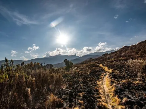 3-Day Mount Elgon Trekking gallery image
