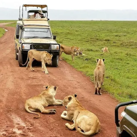 3-Day Serengeti-Ngorongoro Crater Budget Camp Joining gallery image