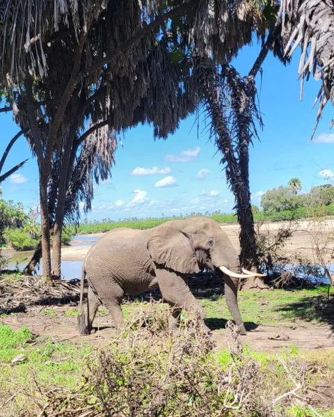 3-Day Camping Safari Tanzania gallery image