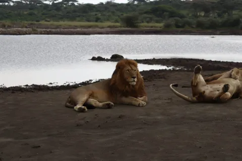 4-Day Group Tour to Tarangire Serengeti Ngorongoro gallery image