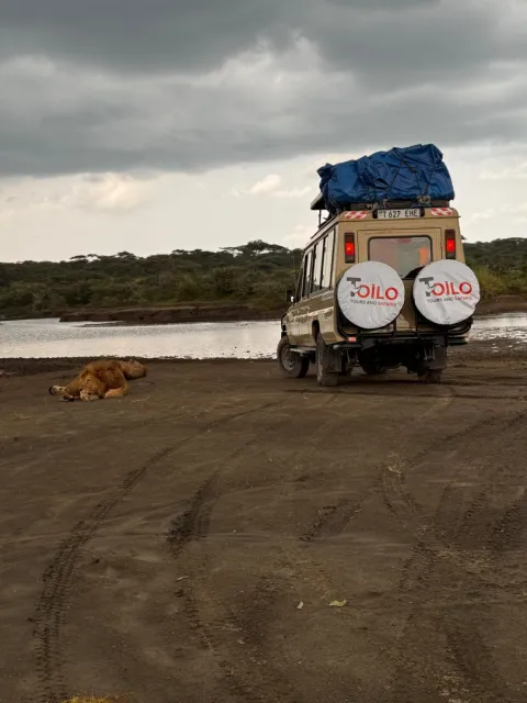 4-Day Group Tour to Tarangire Serengeti Ngorongoro gallery image