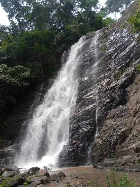 4-Day Chimpanzee Tracking, Karera Falls and City Tour gallery image