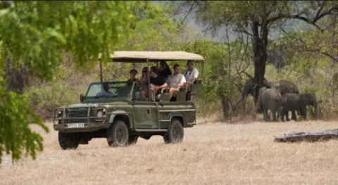 4-Day Explore Nyerere National Park From Zanzibar By Flight gallery image