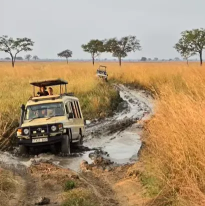 4-Day Safari Dar Es Salaam to Mikumi Np And Nyerere Np gallery image