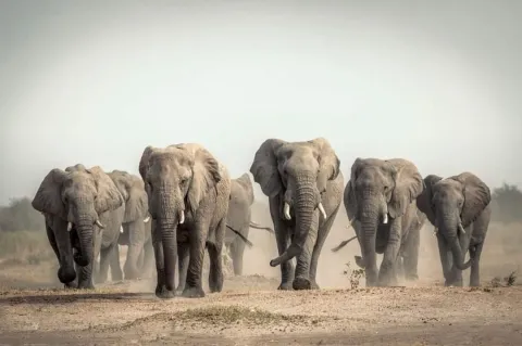 6-Day Safari & Night Game Drive Experience gallery image