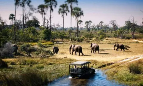 6-Day Comfort safari Tanzania -Mid Range Tour gallery image